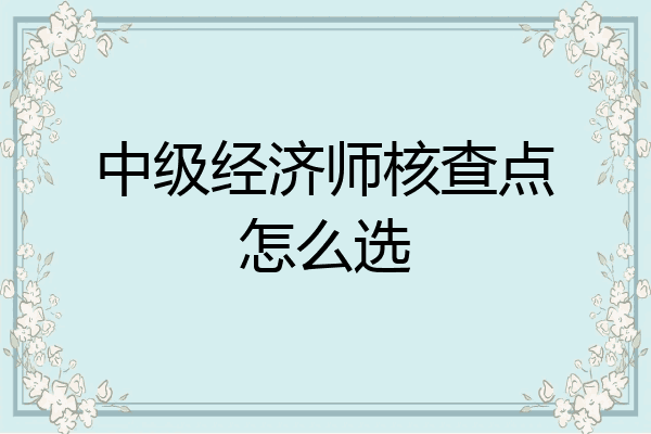 中级经济师核查点怎么选