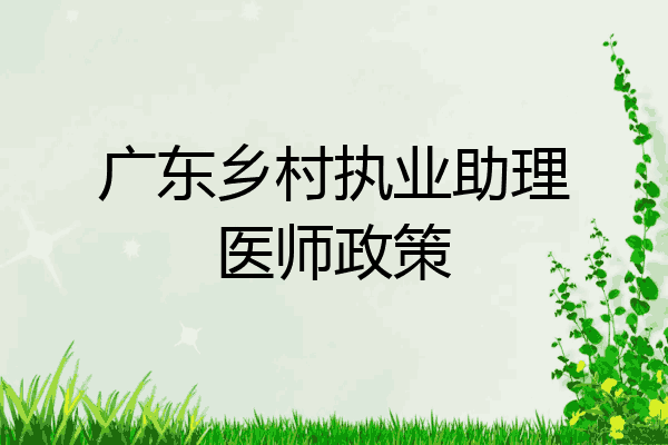 广东乡村执业助理医师政策