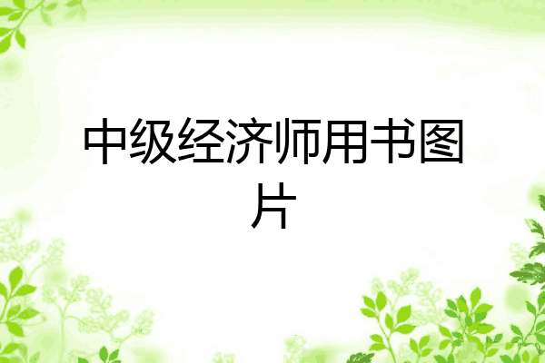 中级经济师用书图片