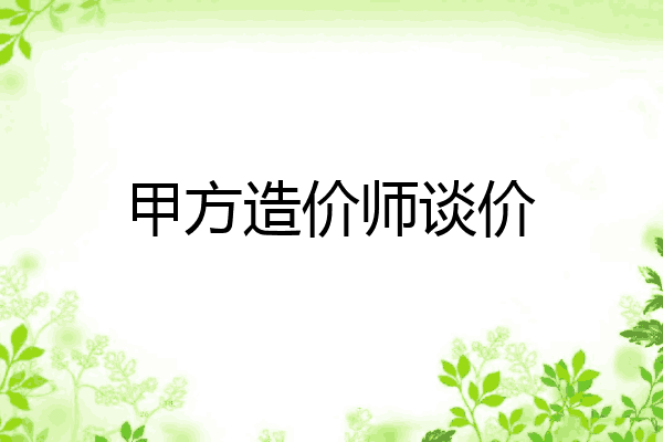 甲方造价师谈价
