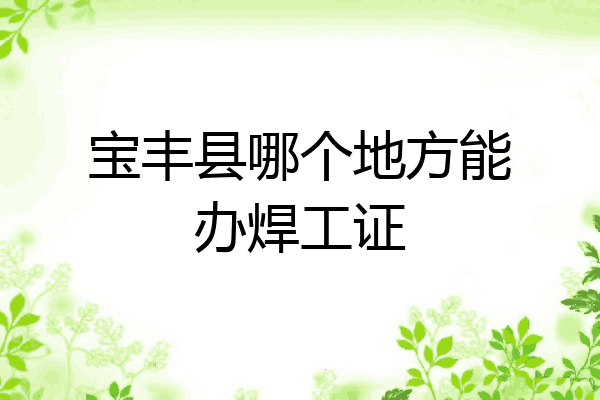 宝丰县哪个地方能办焊工证