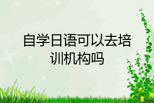 自学日语可以去培训机构吗