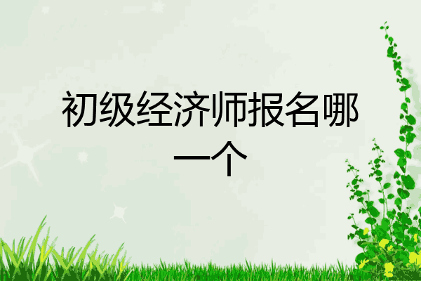 初级经济师报名哪一个
