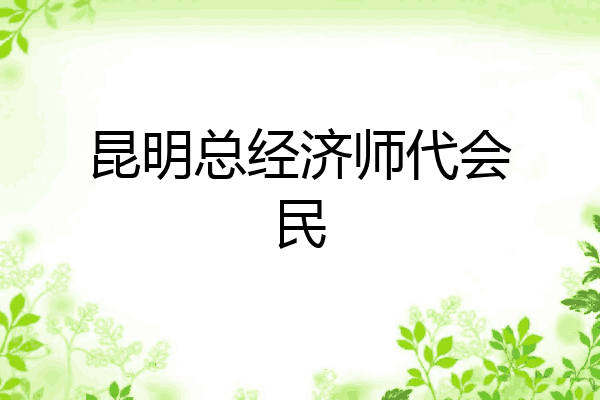 昆明总经济师代会民