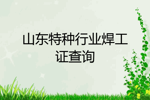 山东特种行业焊工证查询