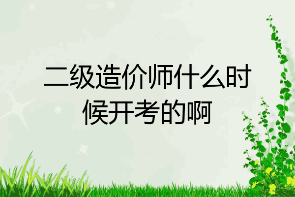 二级造价师什么时候开考的啊