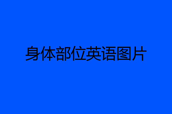 身体部位英语图片