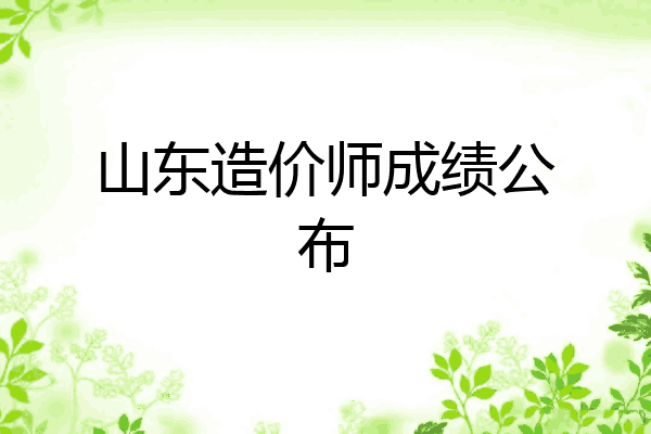 山东造价师成绩公布