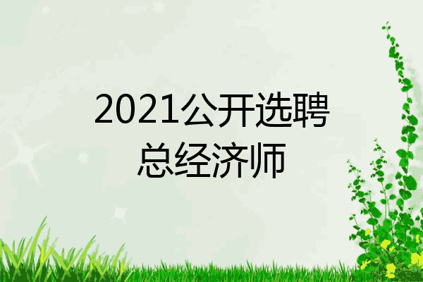 2021公开选聘总经济师