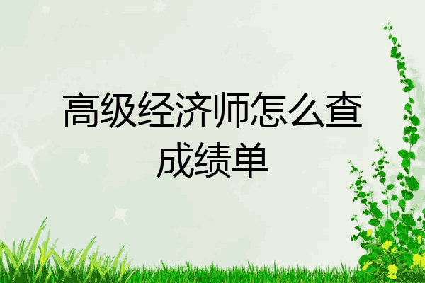 高级经济师怎么查成绩单