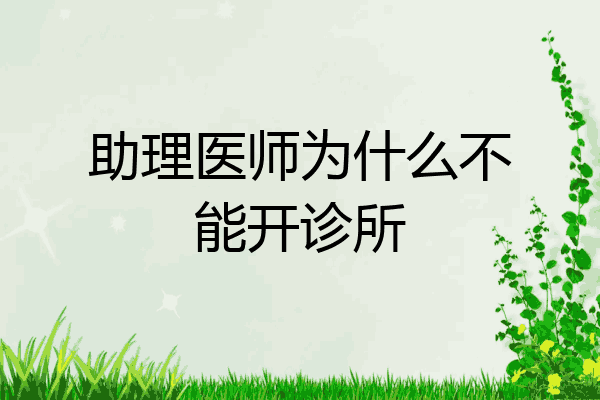 助理医师为什么不能开诊所
