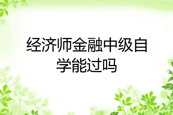 经济师金融中级自学能过吗