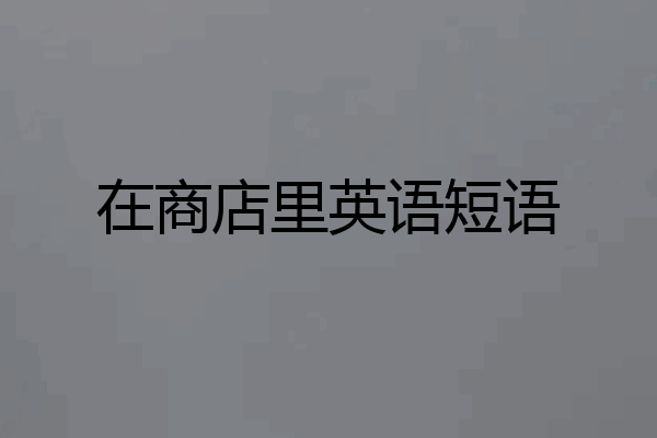 在商店里英语短语