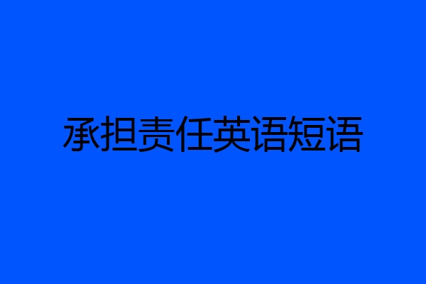 承担责任英语短语