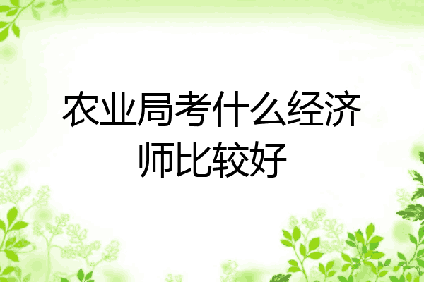 农业局考什么经济师比较好