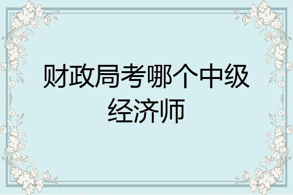 财政局考哪个中级经济师