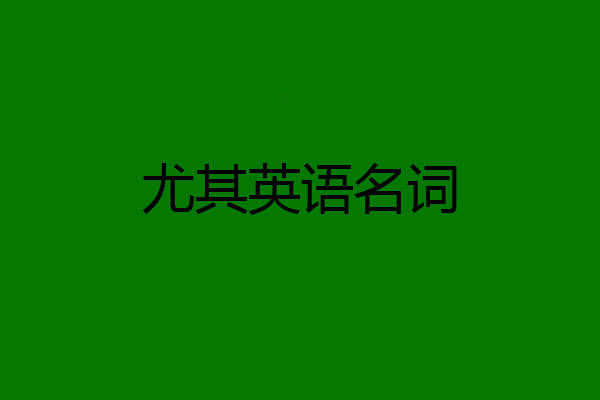 尤其英语名词