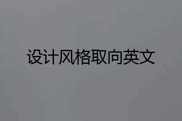设计风格取向英文