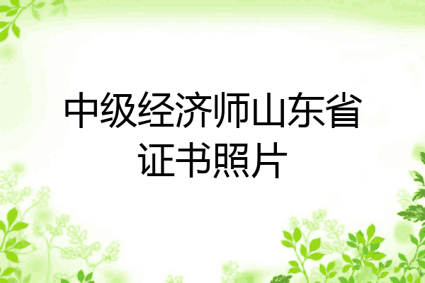 中级经济师山东省证书照片
