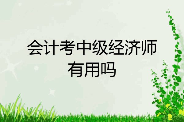 会计考中级经济师有用吗