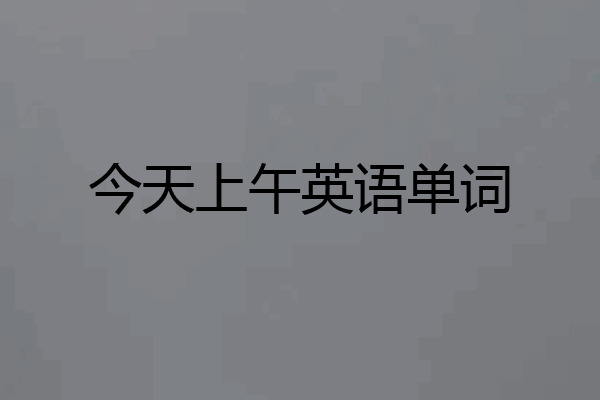 今天上午英语单词