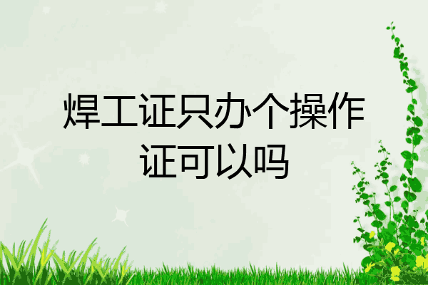焊工证只办个操作证可以吗