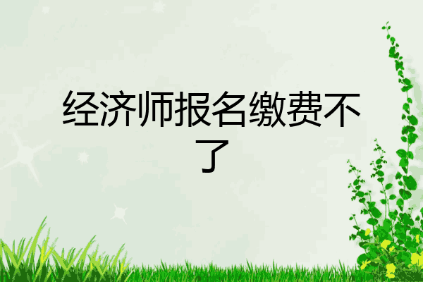 经济师报名缴费不了