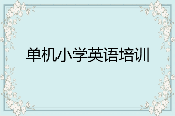 单机小学英语培训