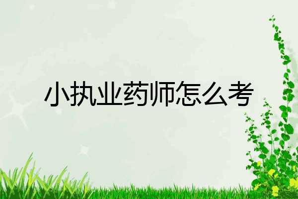 小执业药师怎么考