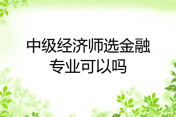 中级经济师选金融专业可以吗