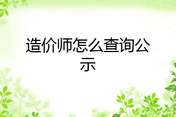 造价师怎么查询公示