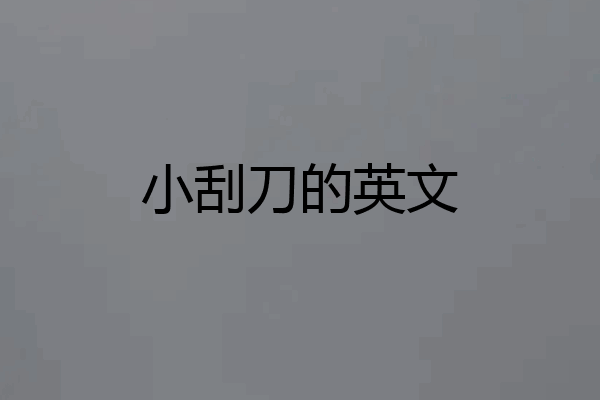 小刮刀的英文