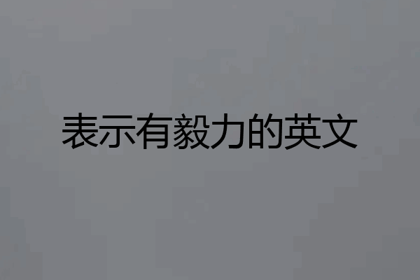 表示有毅力的英文