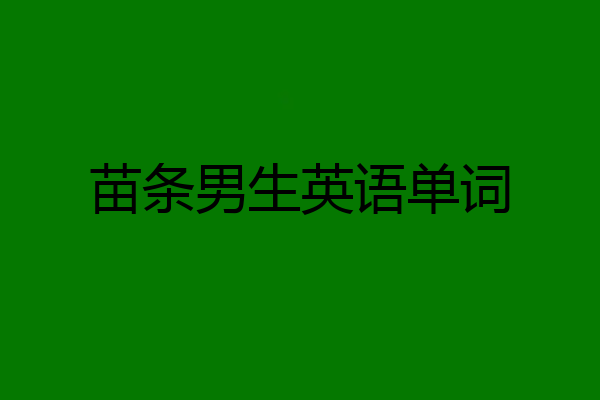 苗条男生英语单词