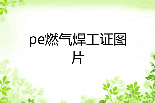 pe燃气焊工证图片