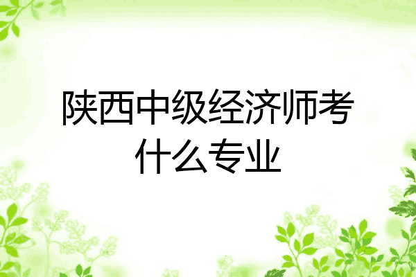 陕西中级经济师考什么专业