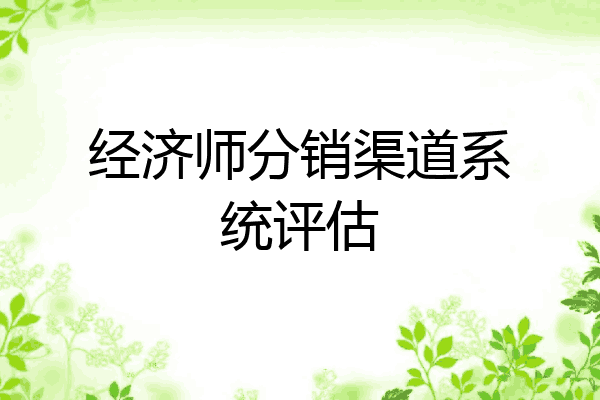 经济师分销渠道系统评估