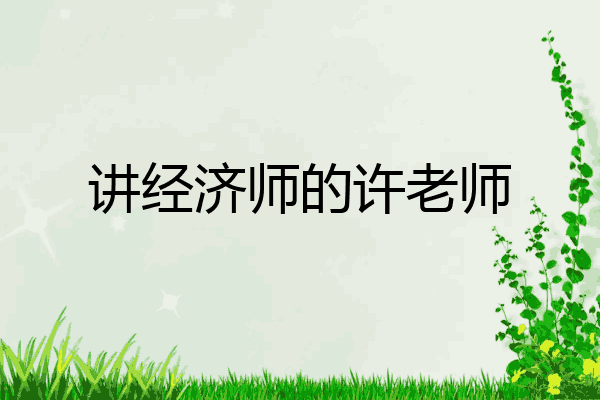 讲经济师的许老师