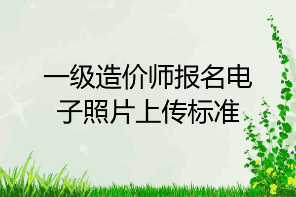 一级造价师报名电子照片上传标准