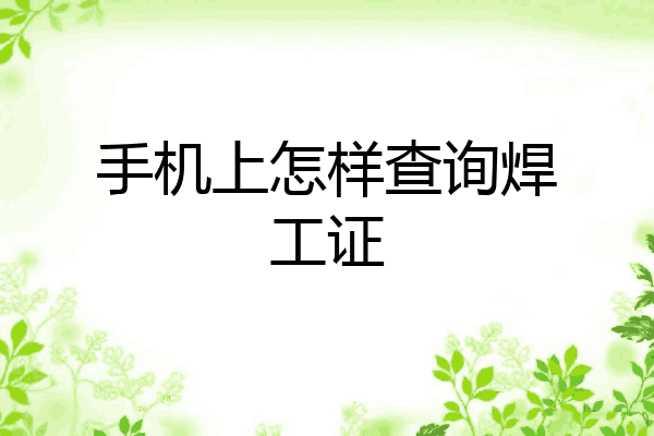 手机上怎样查询焊工证