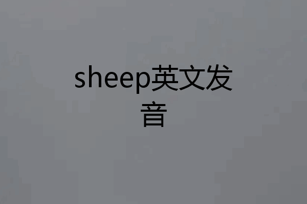 sheep英文发音