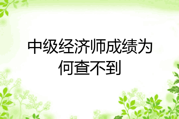 中级经济师成绩为何查不到