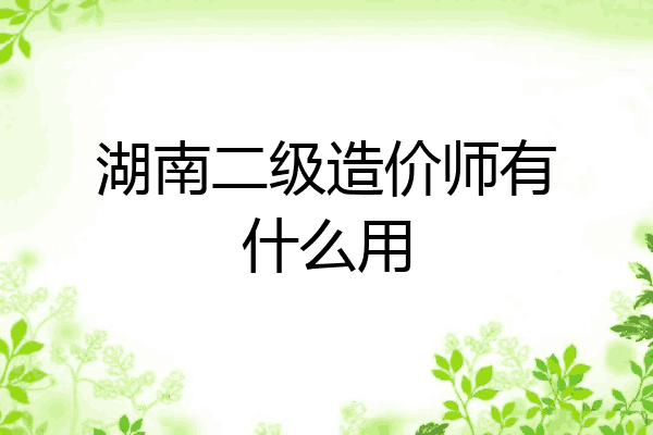 湖南二级造价师有什么用