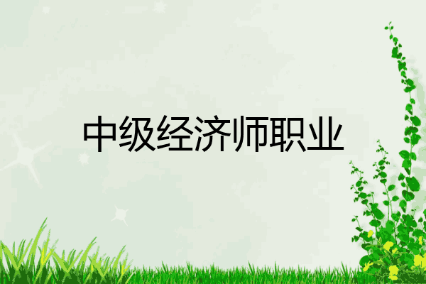 中级经济师职业