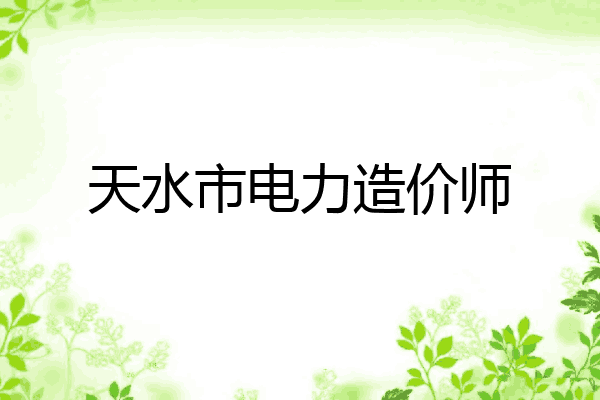 天水市电力造价师