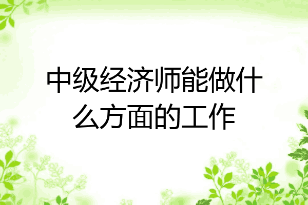中级经济师能做什么方面的工作
