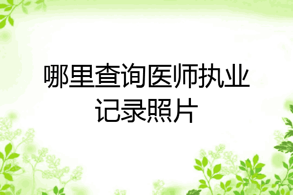 哪里查询医师执业记录照片