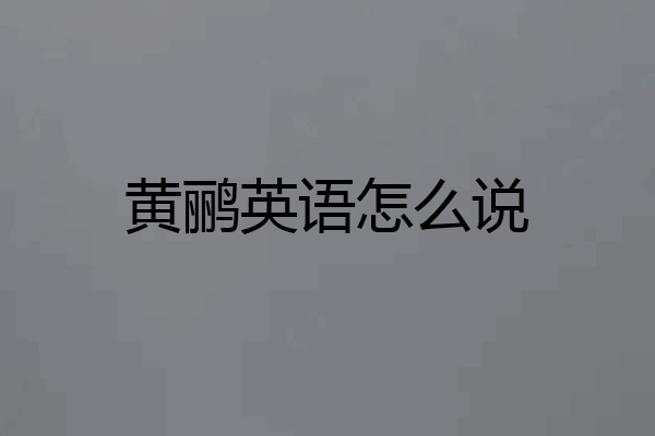 黄鹂英语怎么说