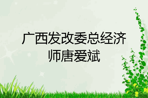 广西发改委总经济师唐爱斌