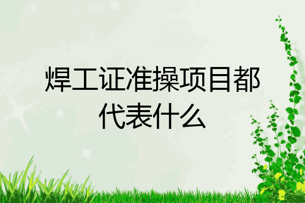 焊工证准操项目都代表什么